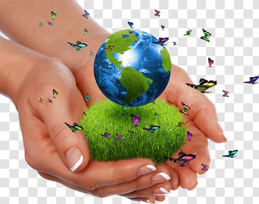 High-definition Video Theme Natural Environment Download - Nail - Caring For The Earth Transparent PNG