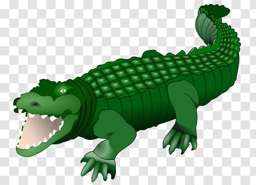 Crocodiles Alligator Free Content Clip Art - Drawing - Green Cliparts Transparent PNG