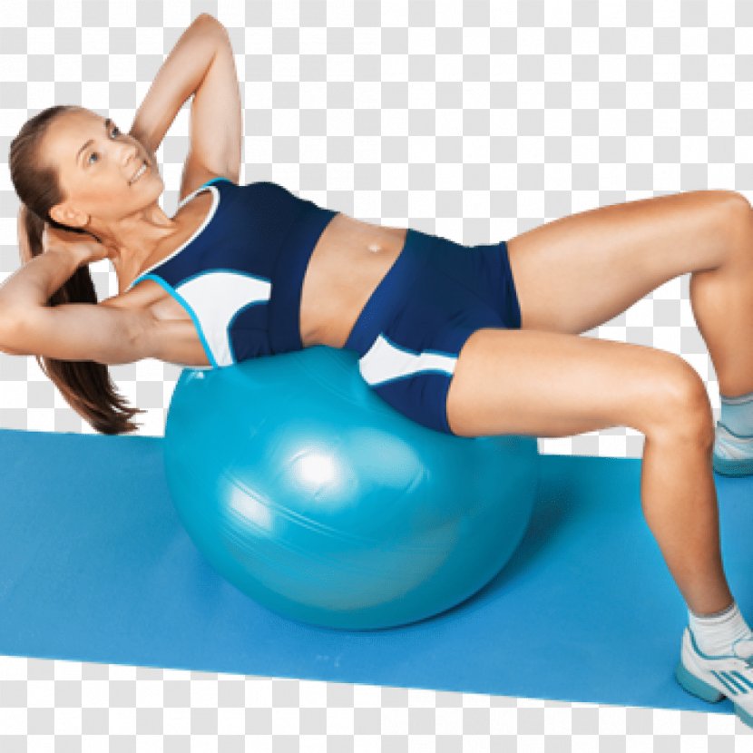 Exercise Balls STEPS Fitness Personal Training Center Physical Plank - Cartoon - Frame Transparent PNG