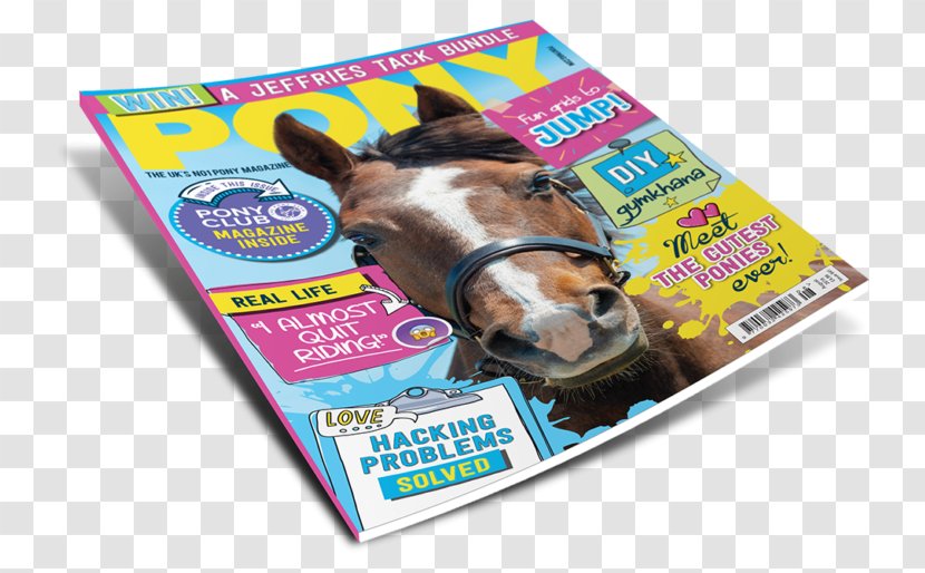 PONY Magazine Equestrian Canadian Horse - Pony - Rosette Transparent PNG