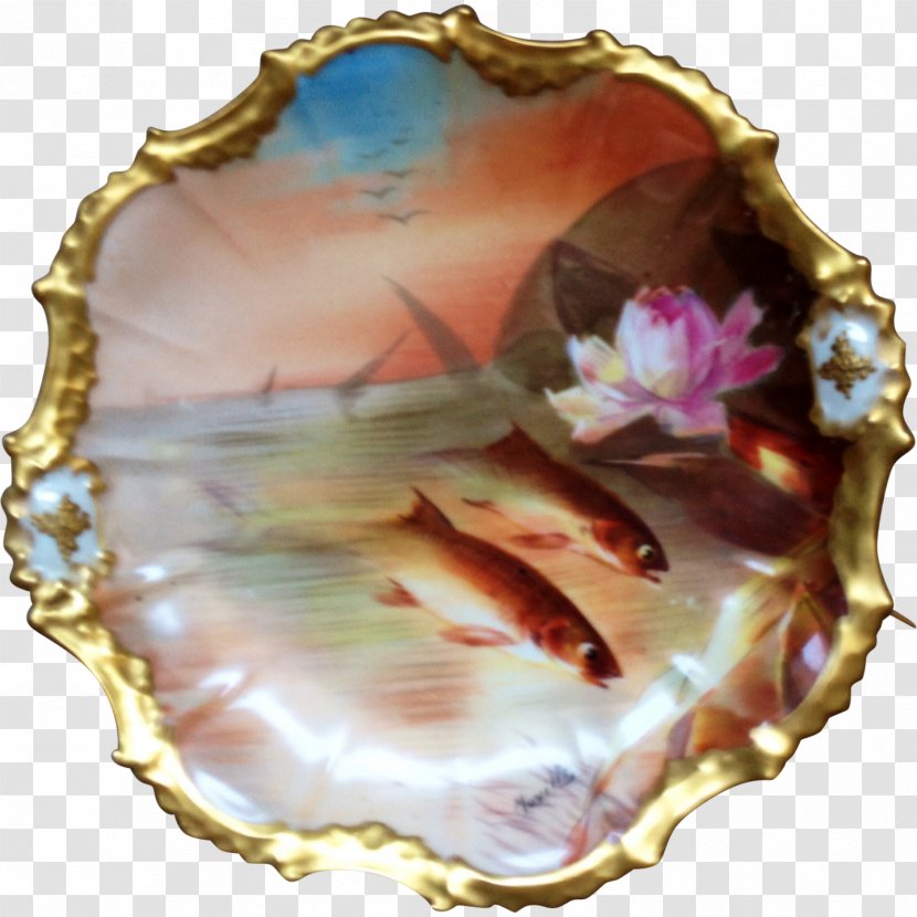 Mussel Clam Oyster Seashell Conch - Hand-painted Fish Transparent PNG