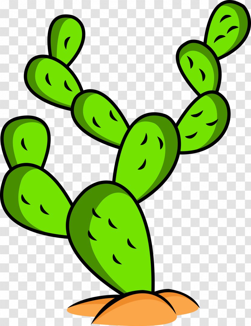 Cactus Drawing Vector Graphics Illustration Succulent Plant - Food - Leaf Transparent PNG
