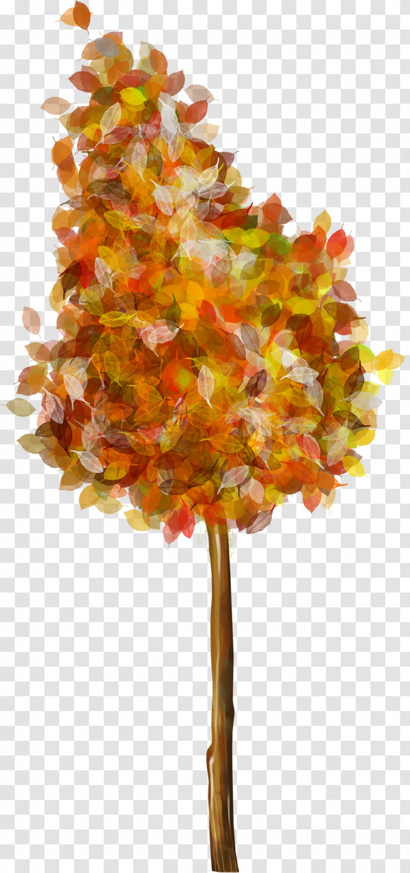 Picture Frames - Tree - Fir-tree Transparent PNG