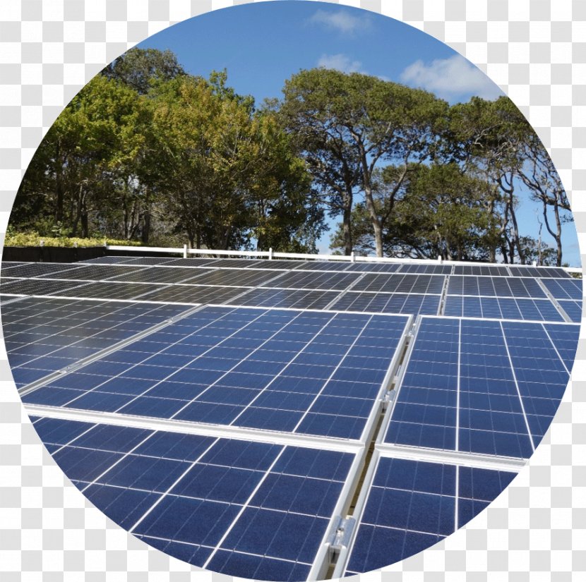 Caribbean Solar Power Latin America Energy Panels - Renewable - Plant Circle Transparent PNG