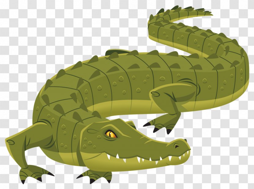 Nile Crocodile Alligator Crocodiles - Terrestrial Animal Transparent PNG