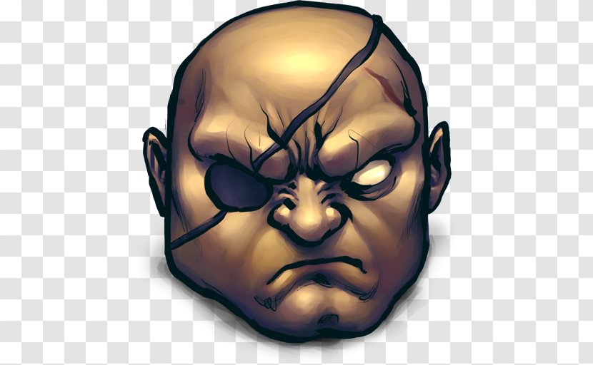 Snout Head Jaw Illustration - Fictional Character - Man Eye Patch Transparent PNG