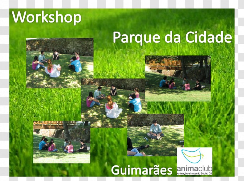Backyard Lawn Advertising Meadow - Grass Family - Santos Populares Transparent PNG