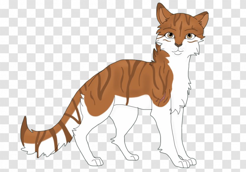 Whiskers Wildcat Red Fox Mammal - Cat Transparent PNG