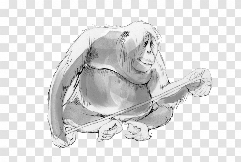 Animal Magic Poems Poetry Drawing Work Of Art Orangutan - Heart Transparent PNG