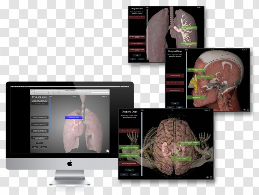 Laptop Webcam IMac - Multimedia Transparent PNG