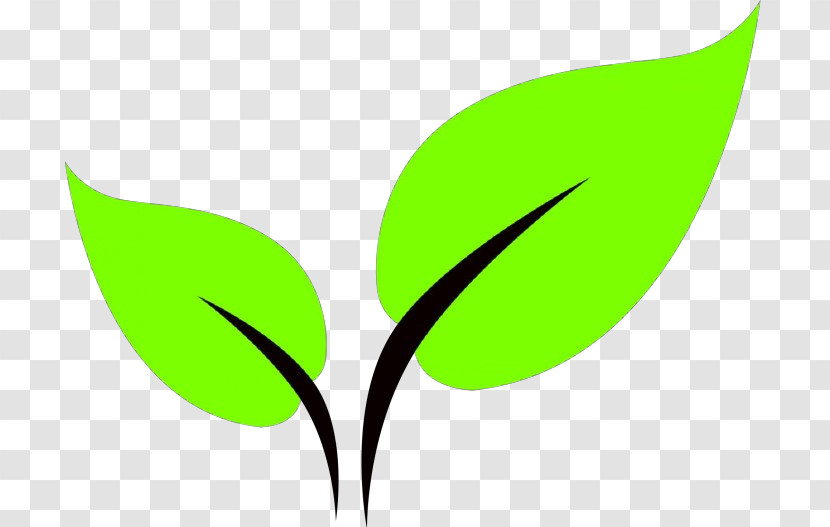 Green Leaf Plant Logo Flower Transparent PNG