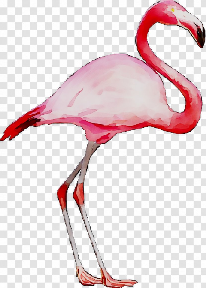 Flamingo Frosting & Icing Image Tea Cake - Pink - Printing Transparent PNG