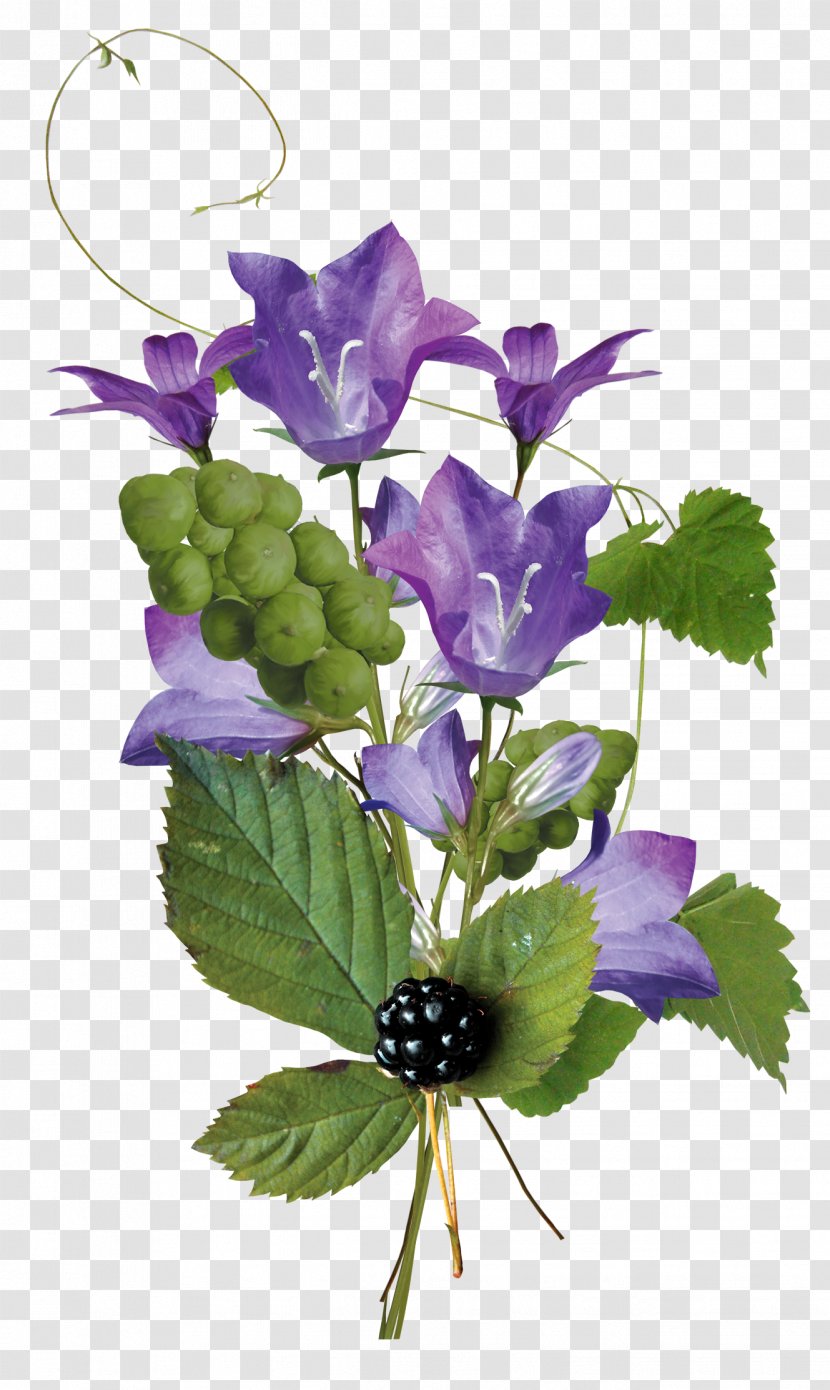 Flower Bouquet Cut Flowers Floral Design Violet - Blue Transparent PNG