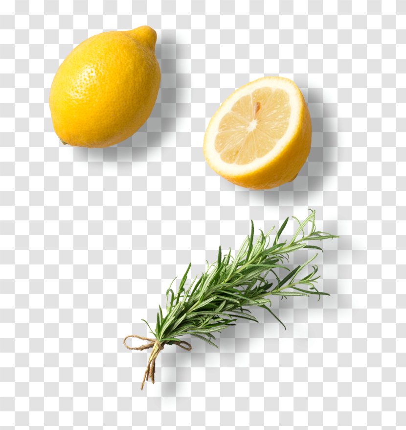 Lemon Food Citron Vegetarian Cuisine Delivery - Copyright Notice Transparent PNG