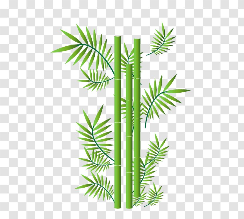 Bamboo Ornament Illustration Transparent PNG