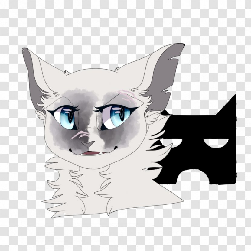 Whiskers Kitten Snout Paw - Cat Transparent PNG