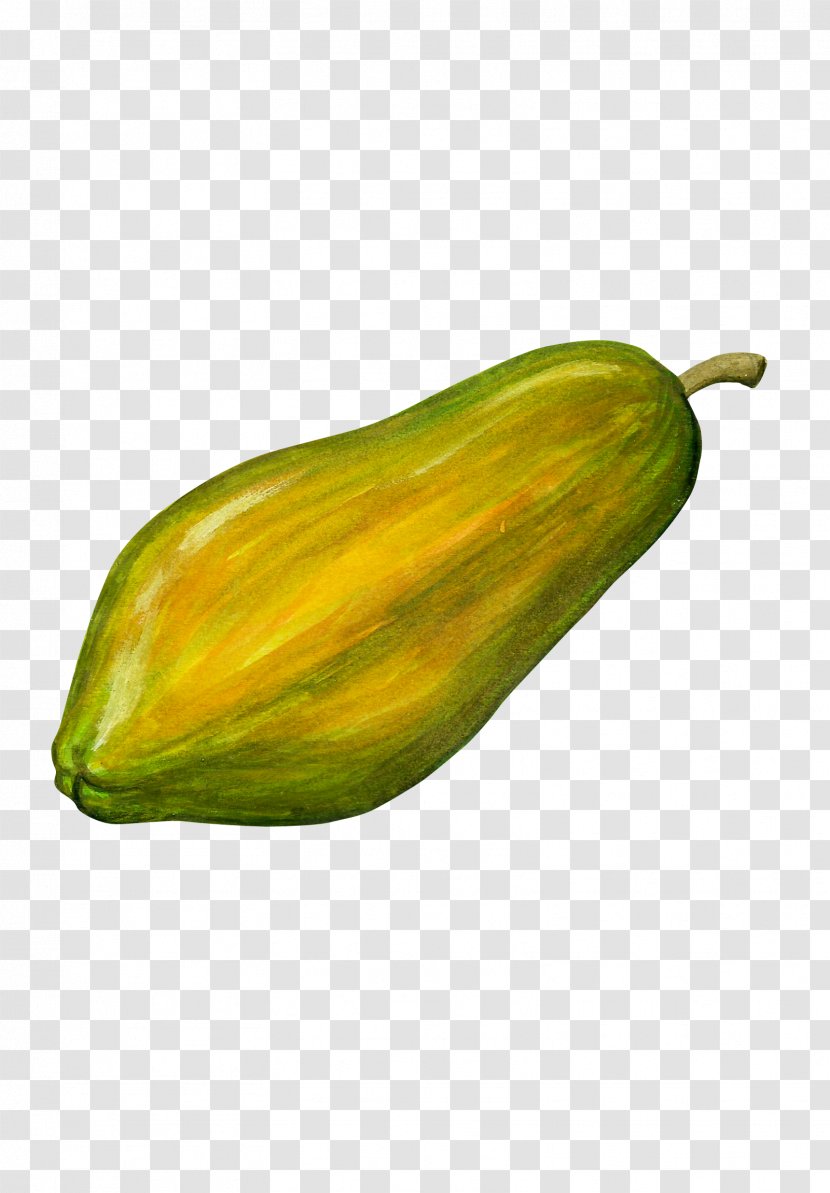 Papaya Fruit - Vecteur - Hand-painted Transparent PNG