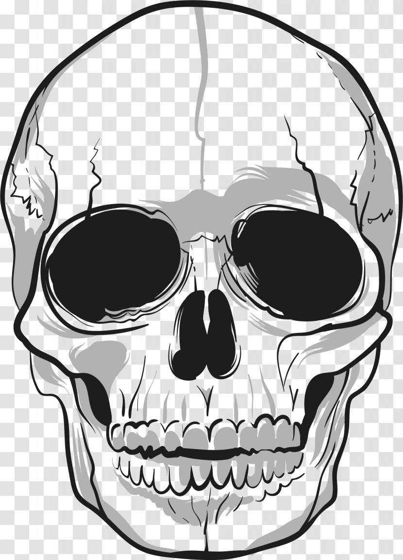 Skull Drawing Bone - Skulls Transparent PNG