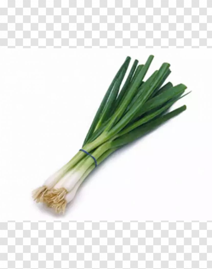 Salad Onions Allium Fistulosum Scallion Leaf Vegetable - Yellow Onion Transparent PNG