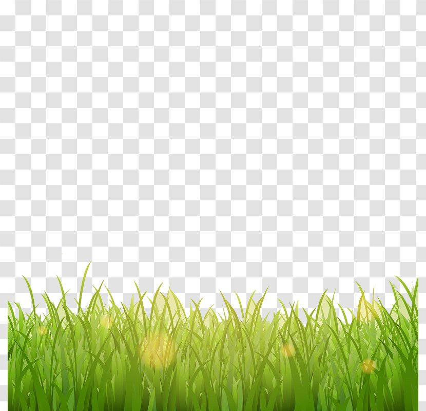 Photography Illustration - Small Grass Decoration Transparent PNG