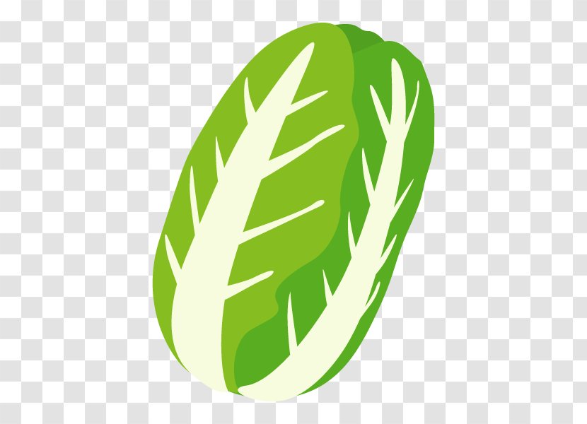 Logo Clip Art Font Vegetable Product Design - Leaf - Organism Transparent PNG