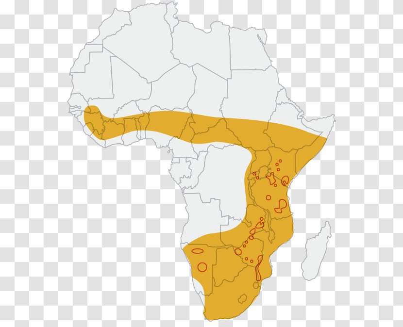 Map Animal - Tuberculosis Transparent PNG