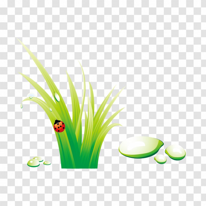 Insect Wallpaper - Grass - And Insects Transparent PNG