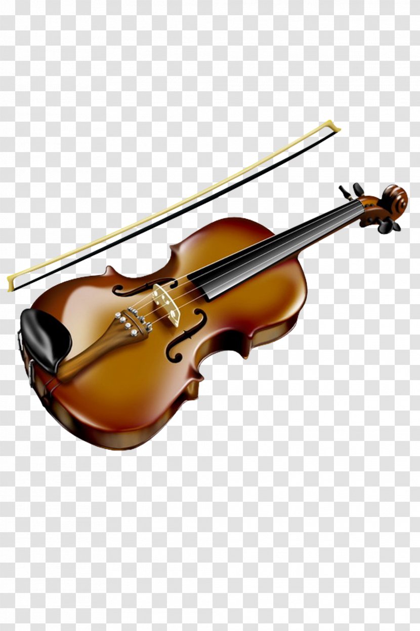 String Instrument Violin Viola Musical Family - Violone Fiddle Transparent PNG