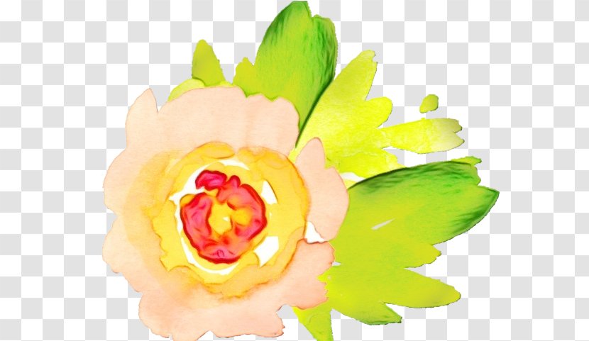 Yellow Petal Clip Art Flower Plant - Watercolor Paint Cut Flowers Transparent PNG