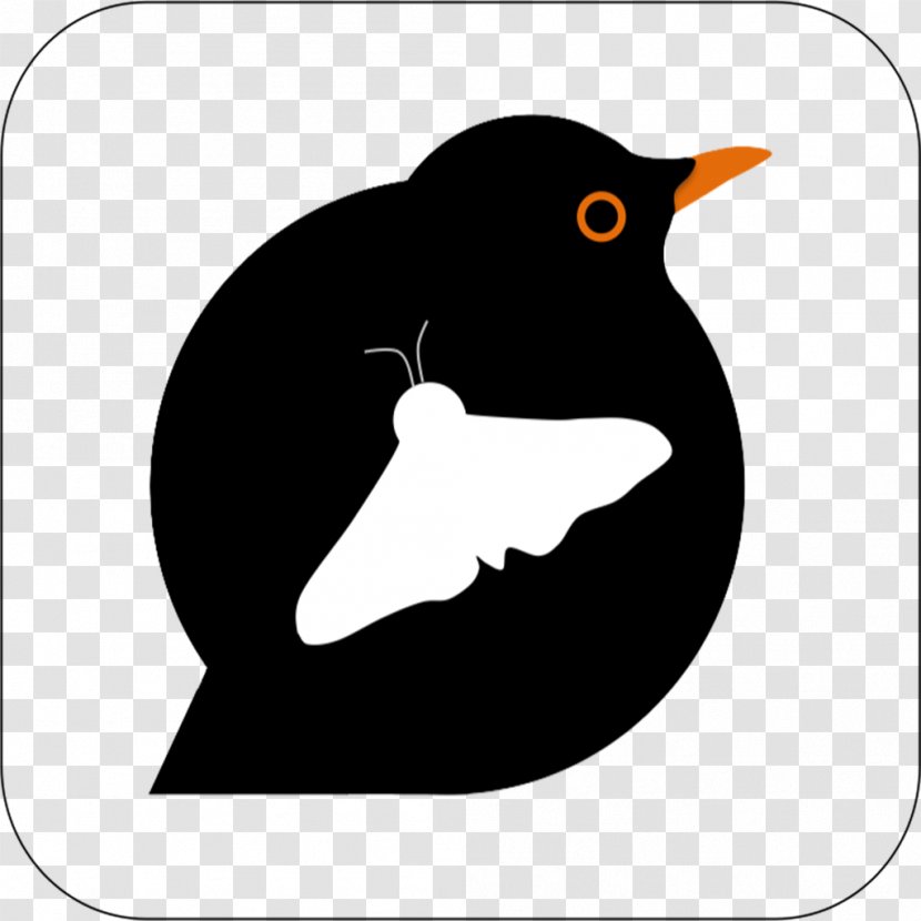 Penguin Bird App Store Beak Finches - Apple Transparent PNG