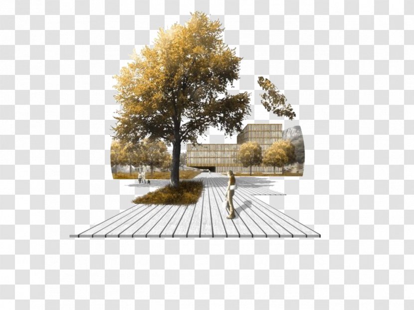 Landscape Architecture Building Architectural Drawing - Hand-painted Renderings Outdoor Park Transparent PNG