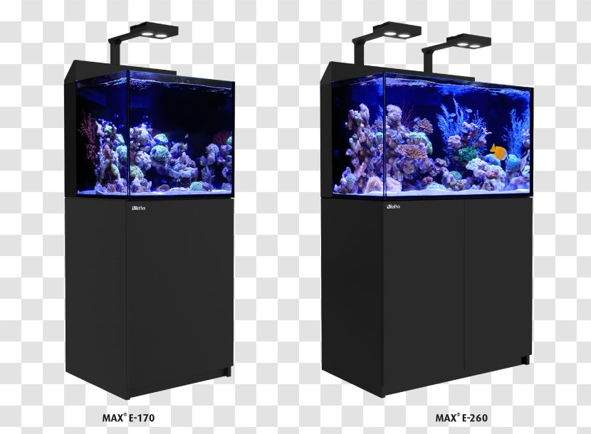 Red Sea Reef Aquarium Coral Light Transparent PNG
