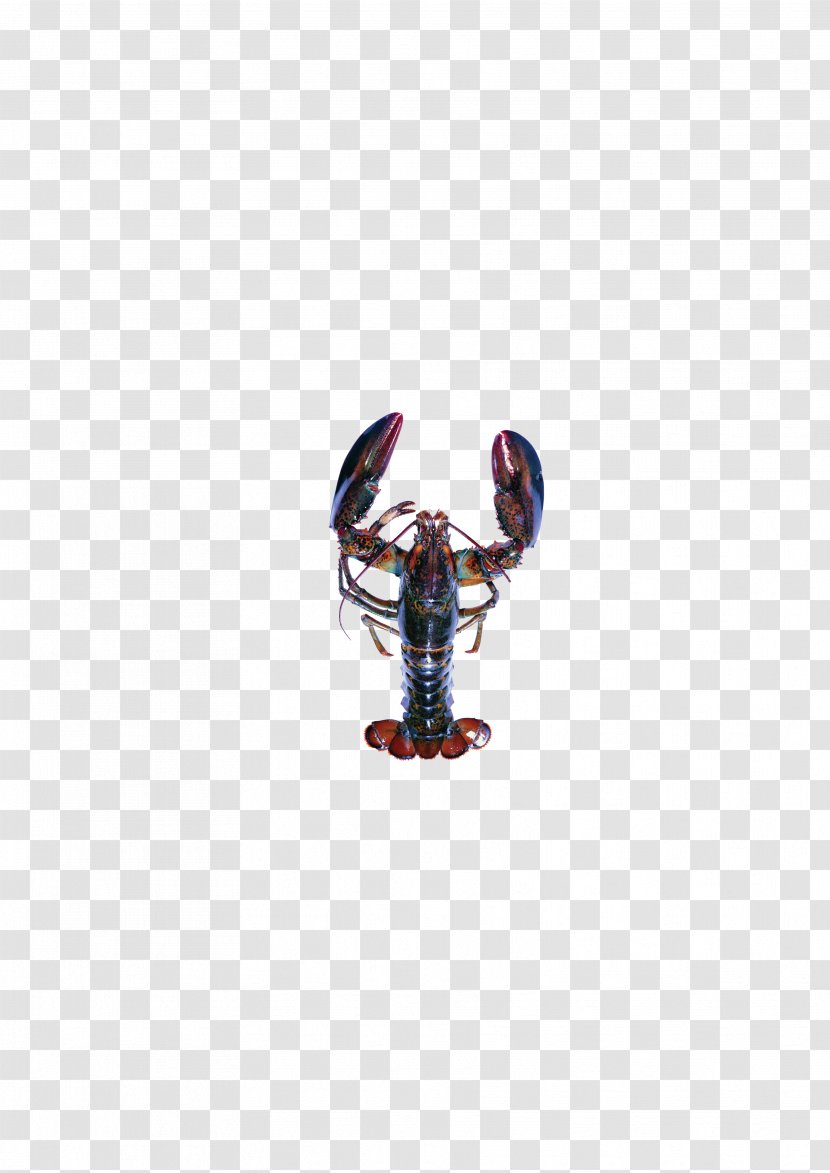 Purple Body Piercing Jewellery Seafood - Lobster Transparent PNG