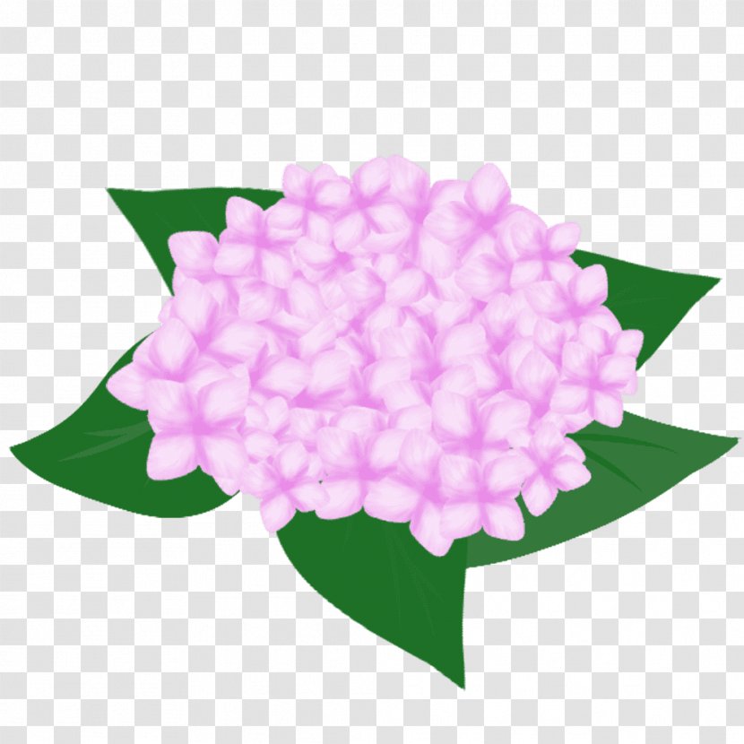 French Hydrangea Flower Pink Petal - Design Transparent PNG