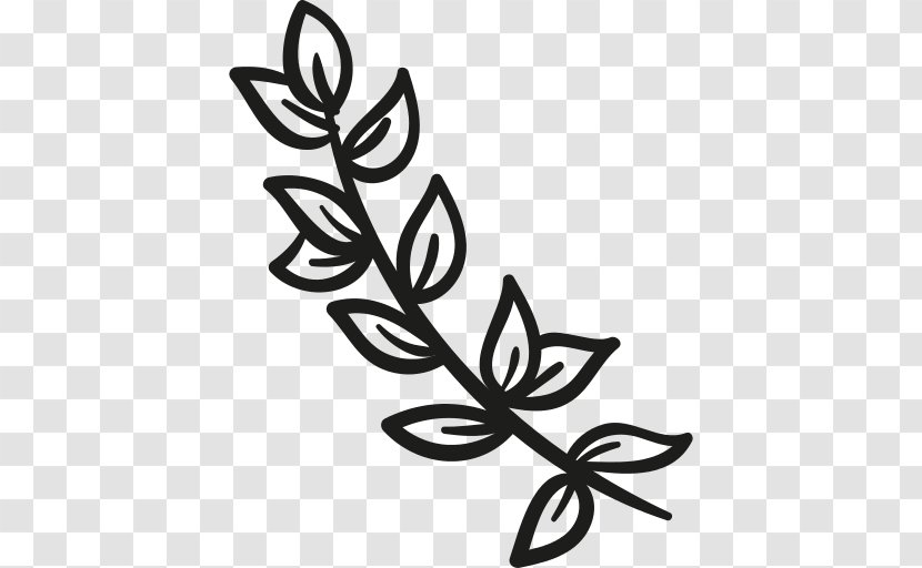 Flower Branch Petal Leaf - Vector Transparent PNG