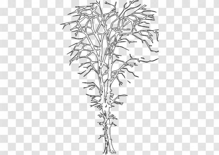 Twig Line Art Plant Stem Leaf White Transparent PNG