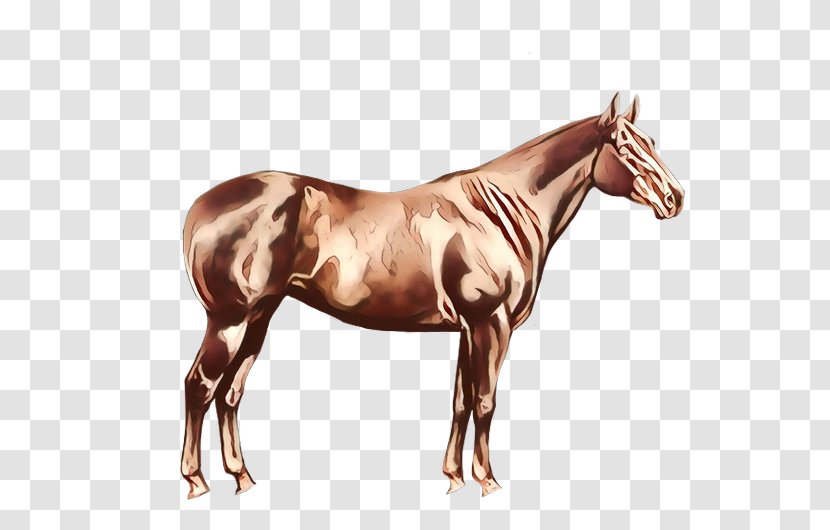 Horse Animal Figure Sorrel Mare Stallion - Mustang - Liver Transparent PNG