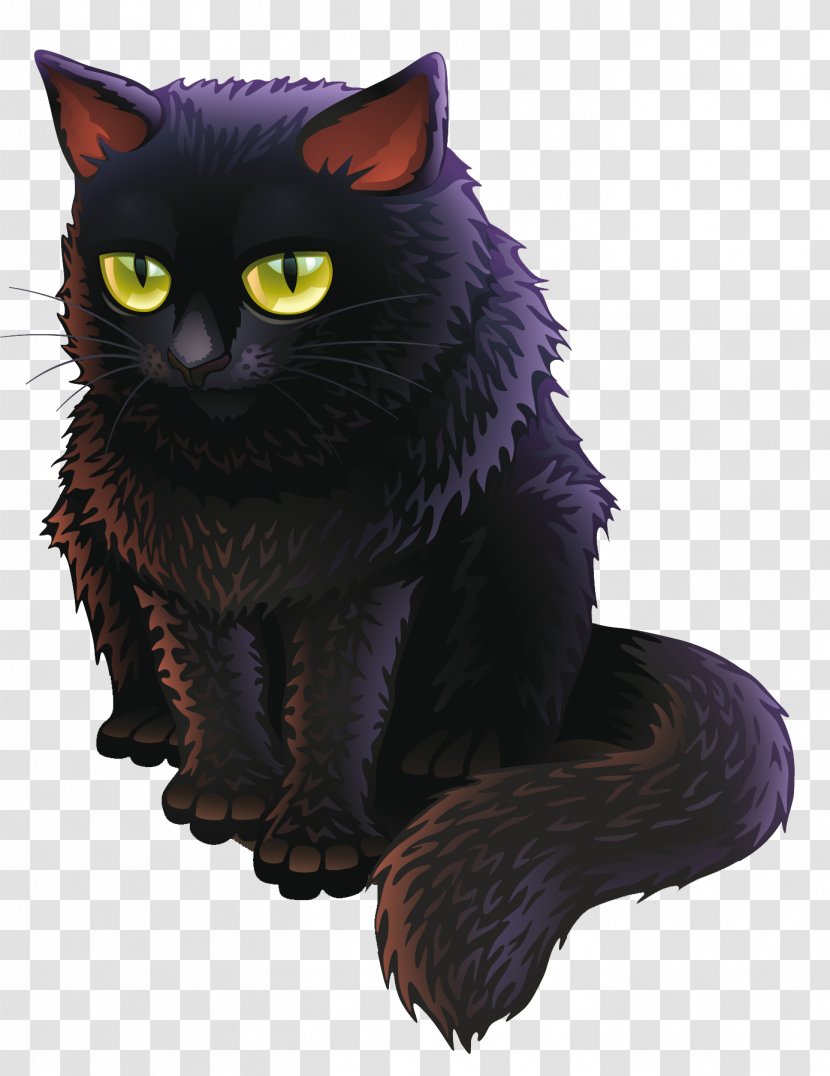 Bombay Cat Black Kitten - Whiskers - Witch Transparent PNG