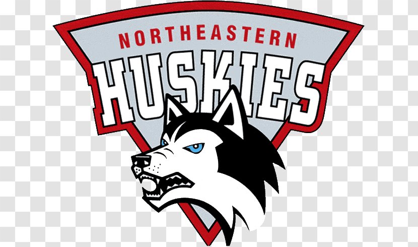 Northeastern University Huskies Men's Basketball State Brown Of Connecticut - Husky Transparent PNG