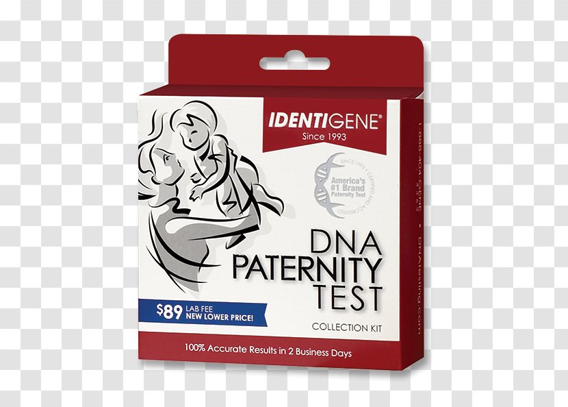 DNA Paternity Testing Genealogical Test Law Genetic - Cotton Buds Transparent PNG