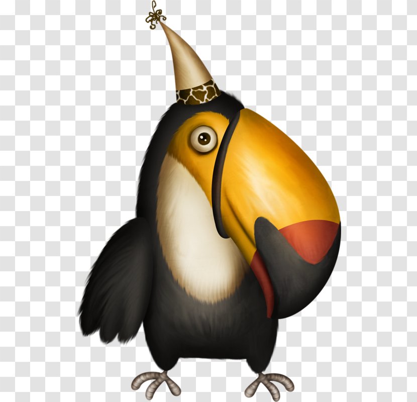 Toucan Woodpecker Bird - Flightless Transparent PNG