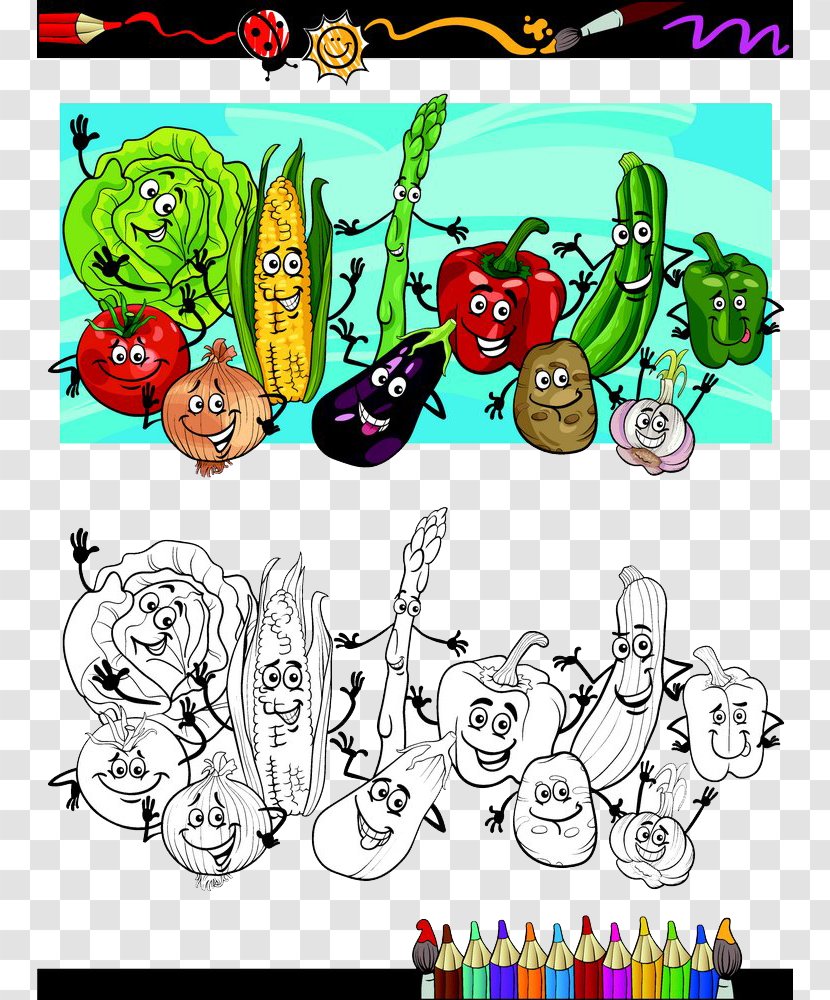 Cartoon Vegetable Illustration - Lettuce - Vegetables Summary Transparent PNG