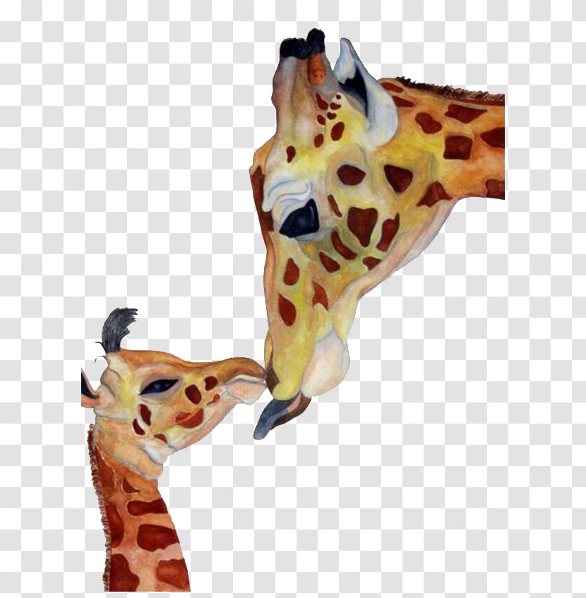 Northern Giraffe Creativity - Animal Transparent PNG