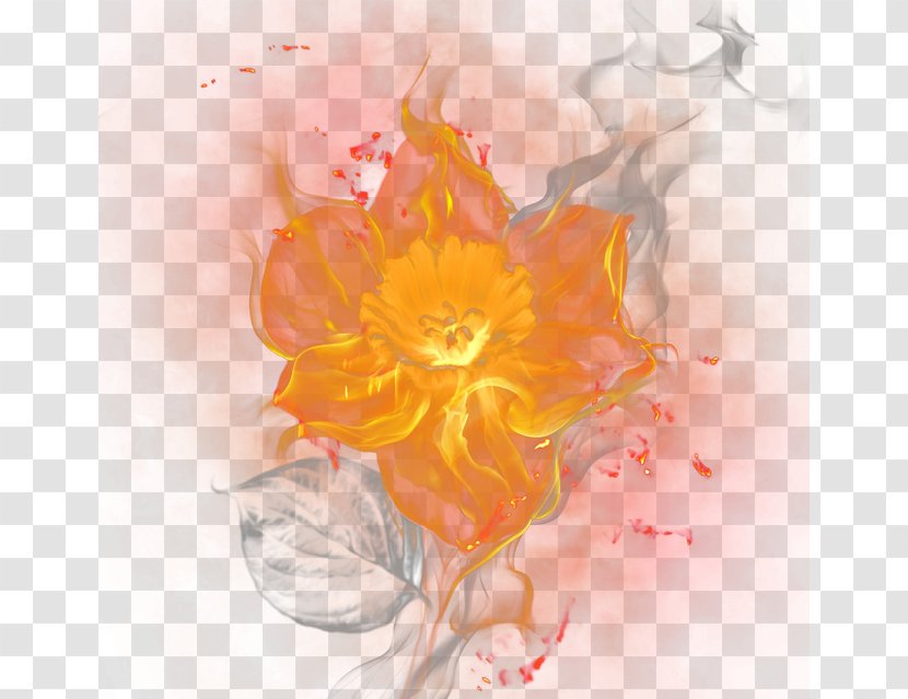 Burning Flowers - Flower - Acrylic Paint Transparent PNG