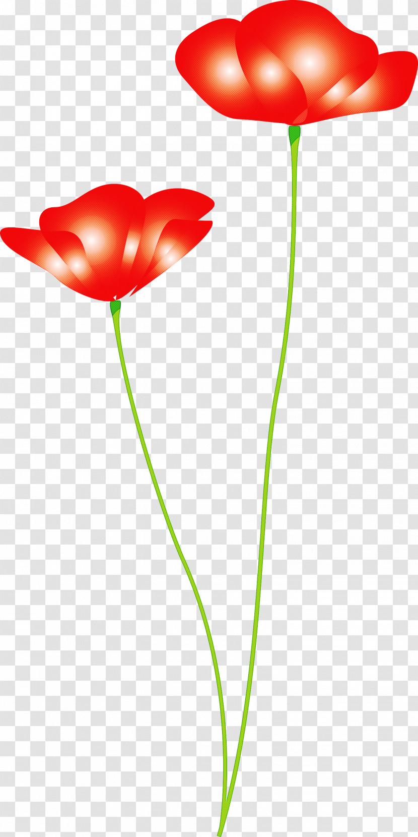 Poppy Flower Transparent PNG