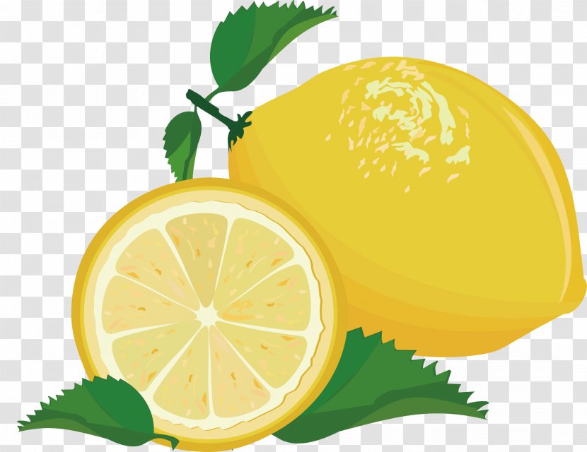 Lemon Key Lime Fruit - Sweet - Edible Transparent PNG