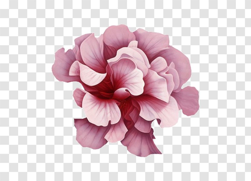 Flower Pink Clip Art - Mallow Family Transparent PNG