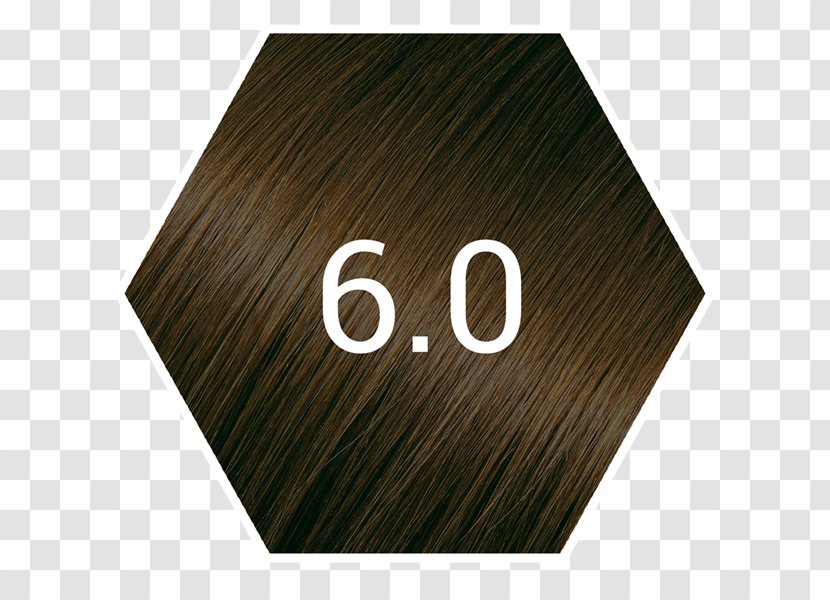 Hair Coloring Brown Light Human Color Transparent PNG