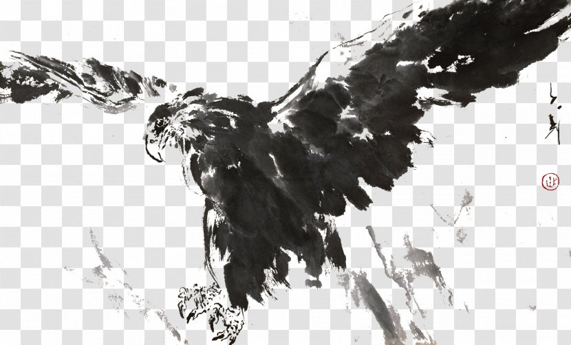 U6c34u58a8u753bu9e70 Ink Painting - Black And White - Eagle Do Not Pull Material Transparent PNG