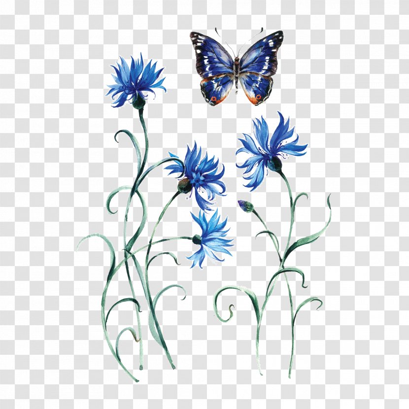 Monarch Butterfly Cornflower Abziehtattoo Tattoo Artist - Brush Footed Transparent PNG